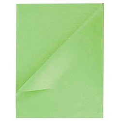 Tissue Paper Ream - 750mm x 500mm, 480 Sheets - Light Green