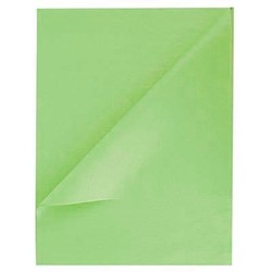 Tissue Paper Ream 750mm x 500mm, 480 Sheets - Light Green