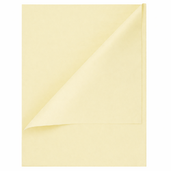 Tissue Paper Ream - 750mm x 500mm, 480 Sheets - Vanilla Cream