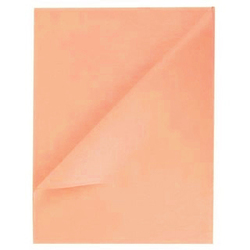 Tissue Paper Ream 750mm x 500mm, 480 Sheets - Blush Nude