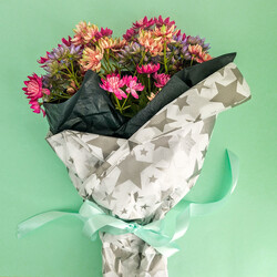 Tissue Paper Ream - 750mm x 500mm, 240 Sheets - Silver Stars