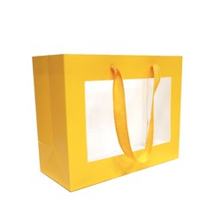 Window Gift Bag - Small/Medium Boutique Matt Finish - Yellow