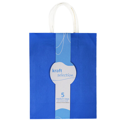 Medium Kraft Gift Bags - 5 Pack Blue