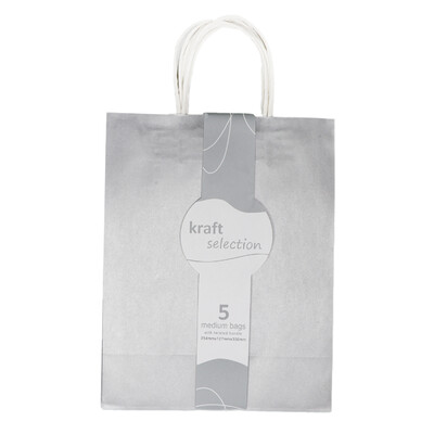 Medium Kraft Gift Bags - 5 Pack Metallic Silver