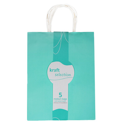 Medium Kraft Gift Bags - 5 Pack Sea Green
