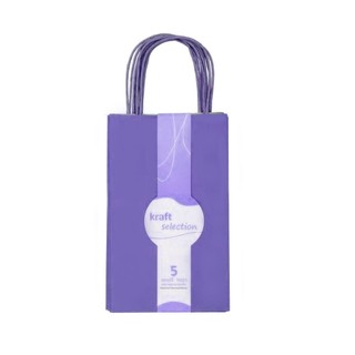 Small Kraft Gift Bags - 5 Pack Purple