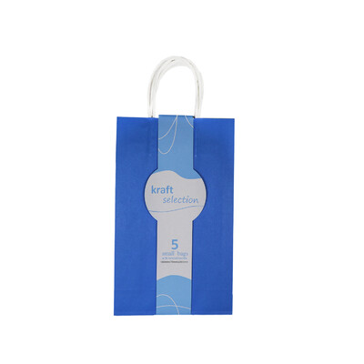 Small Kraft Gift Bags - 5 Pack Blue