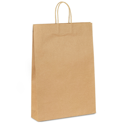 Kraft Bags - Large - Brown