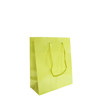Gift Carry Bags - Glossy Apple Green - Small/Medium