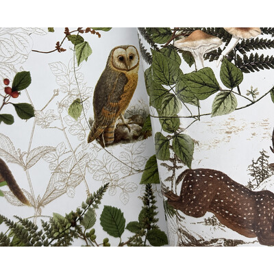Wrapping Paper - 500mm x 60M - Flora & Fauna