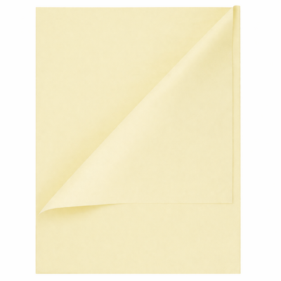 Tissue Paper Ream - 750mm x 500mm, 480 Sheets - Vanilla Cream