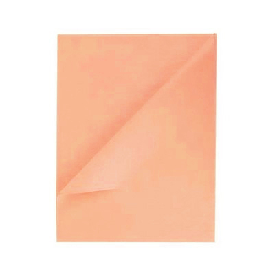 Tissue Paper Ream - 750mm x 500mm, 480 Sheets - Blush Nude