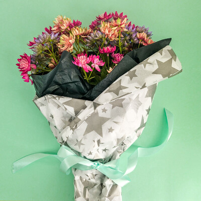 Tissue Paper Ream - 750mm x 500mm, 240 Sheets - Silver Stars
