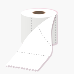 Toilet Paper